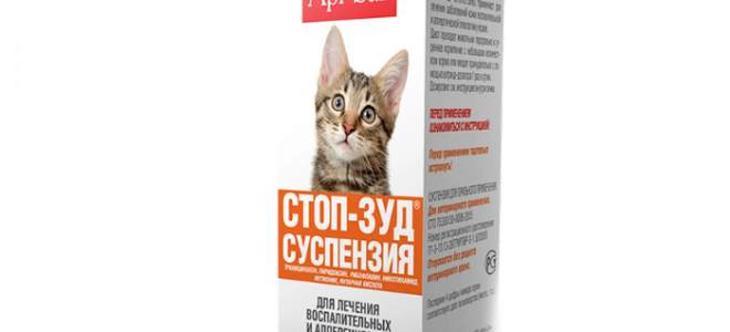 У кота зуд кожи чем лечить