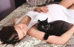Болезнь которую переносят кошки женщинам беременным