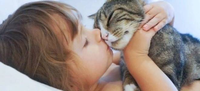 Коты лечат болезни людей