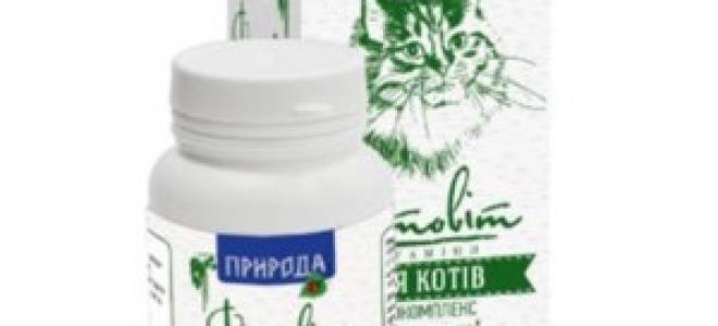 Витамины при мочекаменной болезни кошек