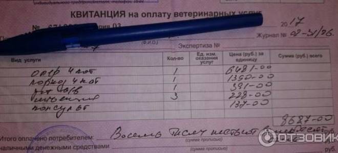 Операция у кошки мочекаменная болезнь